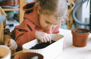 Young girl looking into a white contained filled with soil.